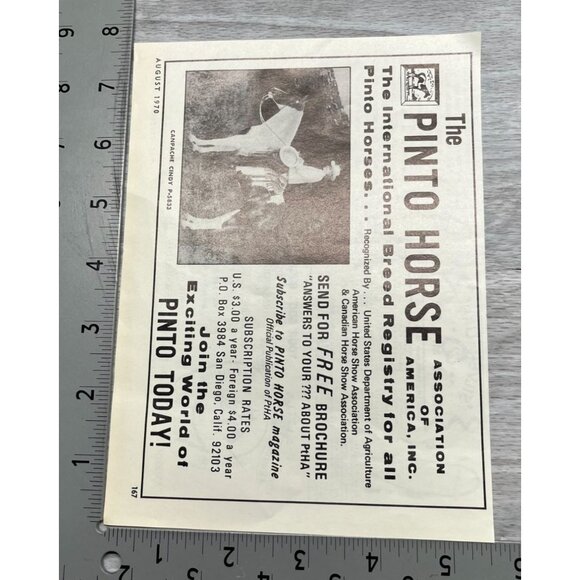 Pinto Horse Breeders Association Vintage Print Ad 1970s Horse Registry San Diego - Picture 2 of 6